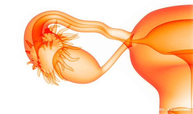 2025宜昌三峡大学附属仁和医院生殖医学科能做试管婴儿吗？ 