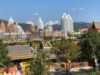 景洪 (景洪试管婴儿)