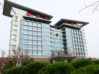 肥城 (肥城试管婴儿)