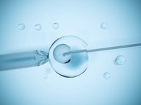 子宫内膜过薄和LH峰偏早的患者做试管婴儿必须降调吗？