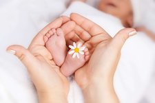 排卵障碍的常见病因是多囊卵巢综合征还是垂体异常？