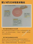 取卵后情绪低落和促排时的焦虑有什么区别