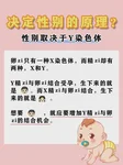 35岁有染色体异常妊娠史，再怀孕出现染色体异常的概率大吗？