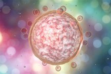 第一次做试管要多久？正常情况下45~60天够吗