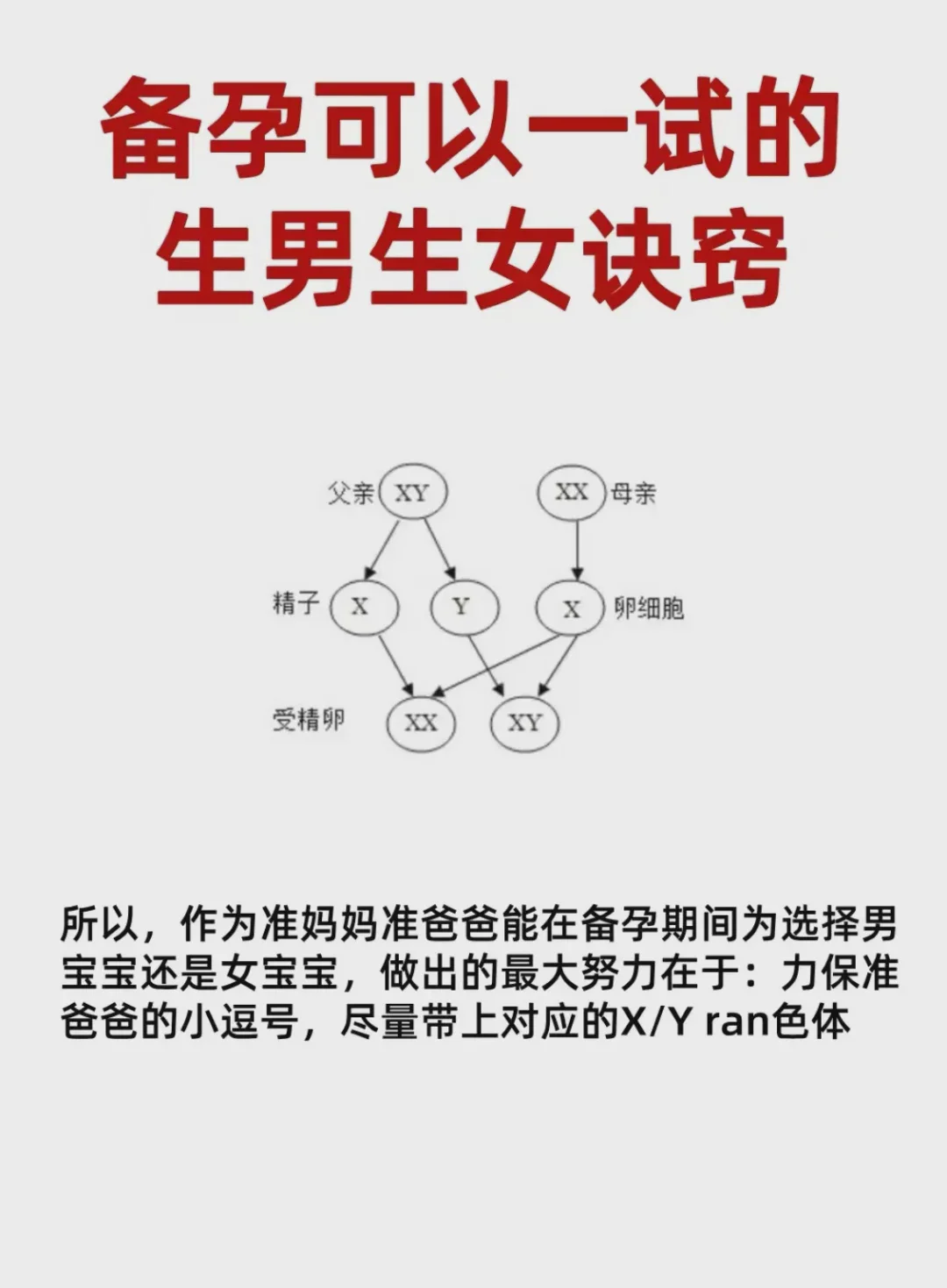 10c1胚胎满足哪些条件才建议移植?