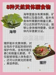 蔺会兰是否擅长复发性生化妊娠综合排查与助孕？