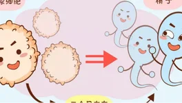 北京大学第一医院孙伟杰医生试管婴儿助孕诊疗经验怎么样？