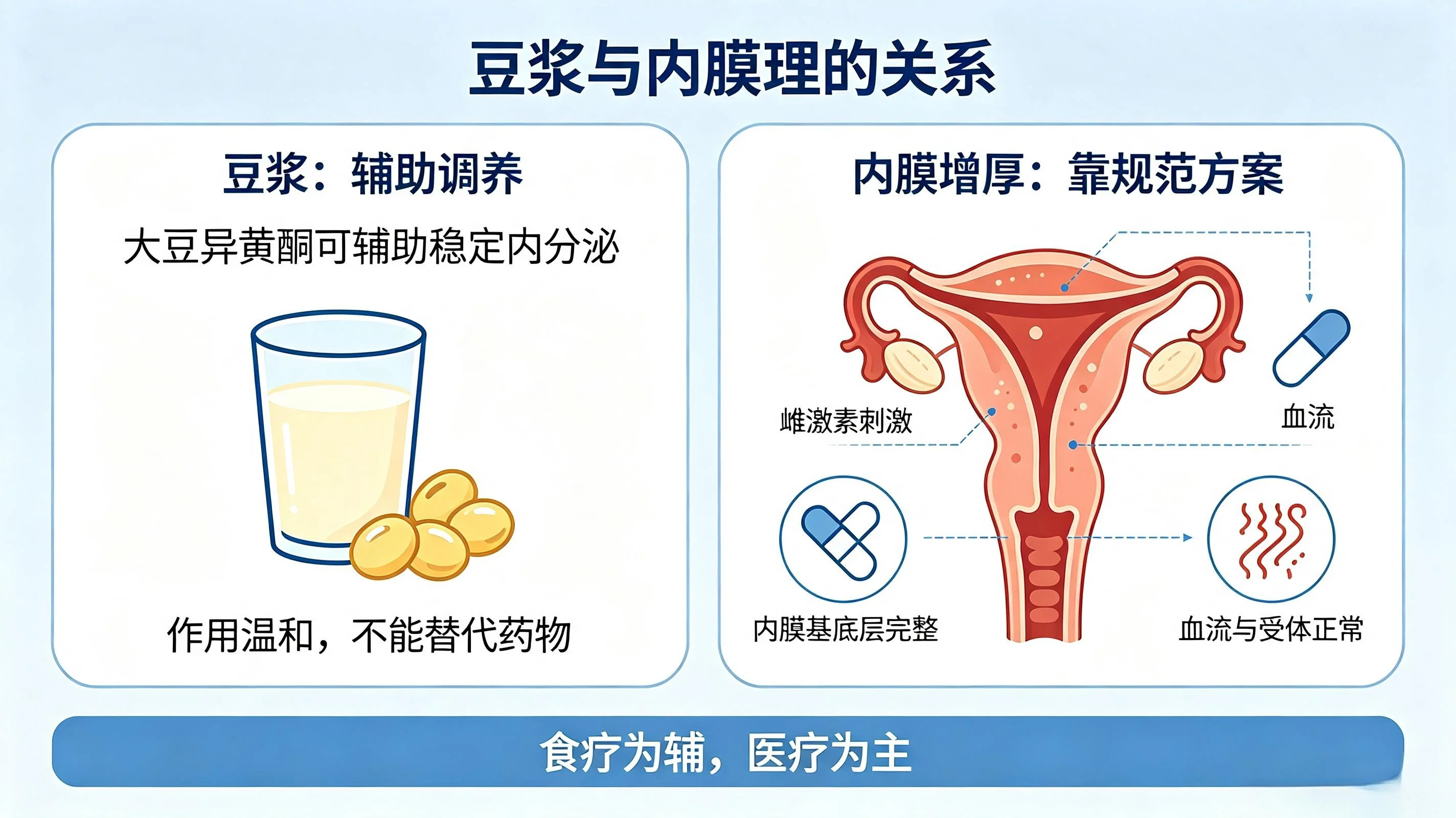 喝豆浆能增厚内膜? 喝豆浆能增厚内膜?