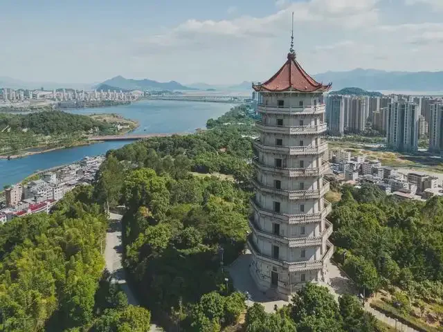 宁德试管婴儿替代方案指南封面图