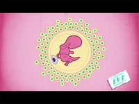 图们试管婴儿医院哪家好？图们市人民医院床位约250张