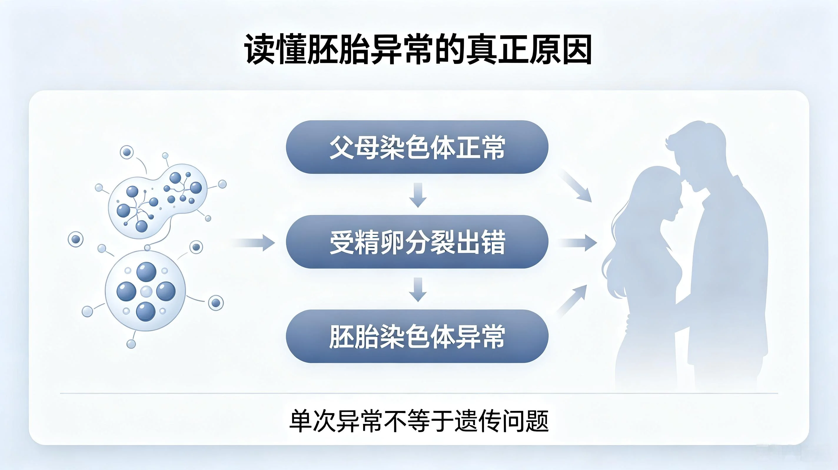 夫妻染色体完全正常，为什么胚胎依然出现染色体异常？终于懂了(2)