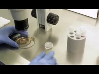 超60%职场女性试管促排请假被拒，怎么破？