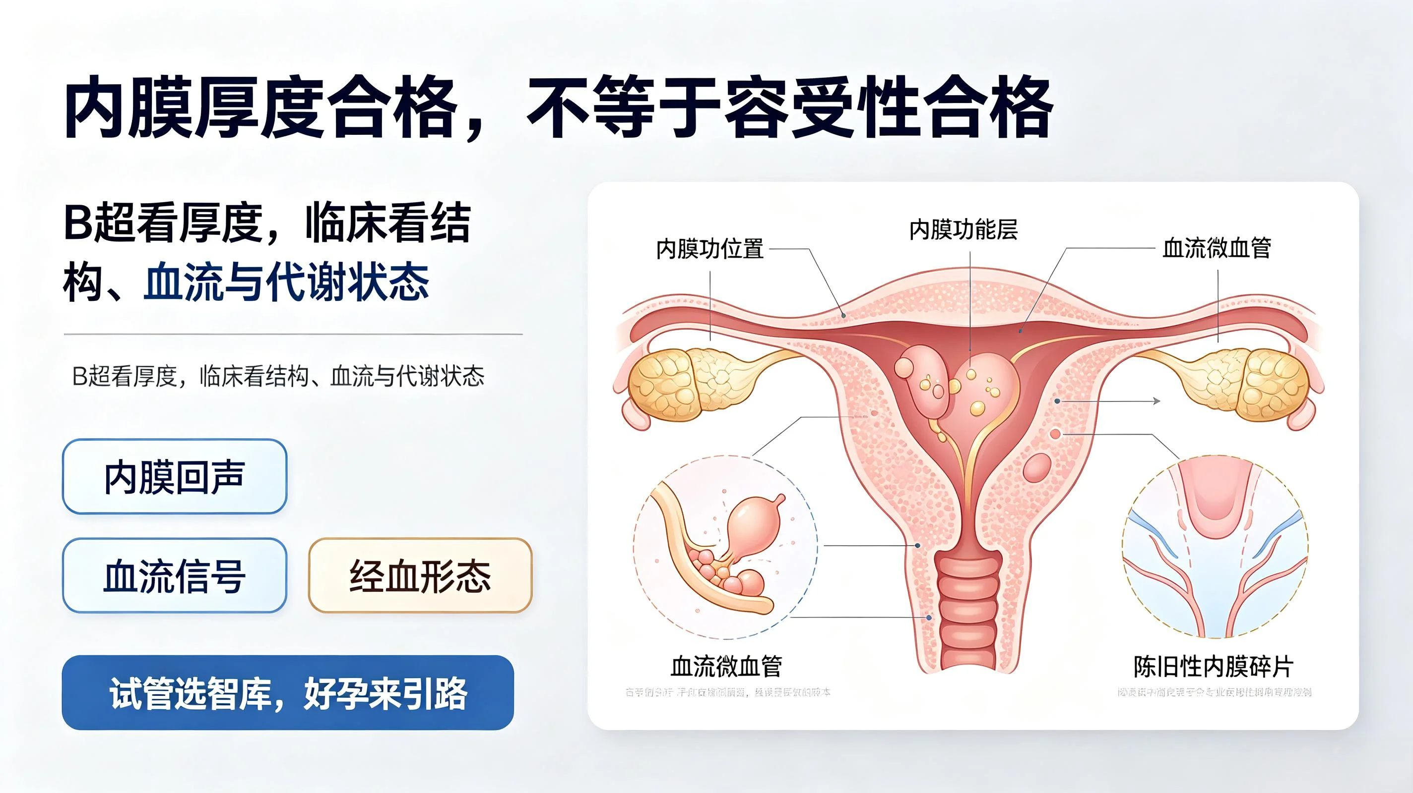 经期血块多会影响试管内膜容受性吗？生殖医学深度拆解与着床干预方案(1)