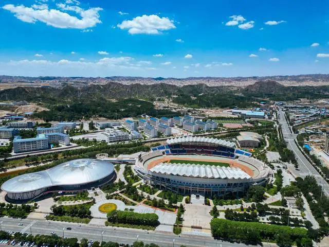 白银试管婴儿替代方案指南封面图