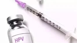 囊胚是先分裂变成两个，还是先着床后裂变为双胞胎？